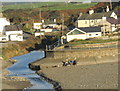 A pleasant way of spending a November afternoon at Aberdaron