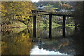 SO5309 : The old railway bridge, Redbrook by Philip Halling