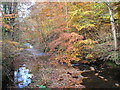 River Ryburn