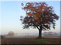 Farmland, Charvil