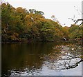 Highams Park Boating Lake