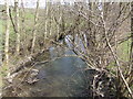 The Lugg downstream from Rock Bridge