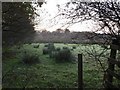 Field near Oakleigh Farm