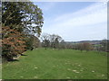 Pastures to the south of Hergest Croft