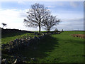 The old military road near Kiltersan