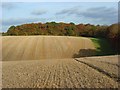 Stubble beside Highruse Wood