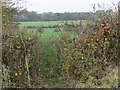 Farmland off Swinford Road