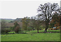 SO6589 : Farmland near Neenton, Shropshire by Roger  D Kidd