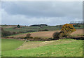 Shropshire Farmland near Oreton