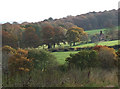 Shropshire Farmland  near Chorley