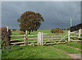 Stile, Gate and Fields. Stottesdon, Shropshire