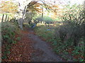 Path down Stey Brae