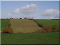 Farmland near Higher Northcott