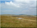 SX1778 : Catshole Tor Looking North by Phillip Kimber