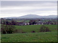 Farmland alongside the Fairview Road, Donaghacloney