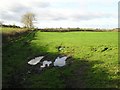 Ballyhoy Townland