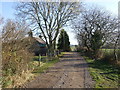 Lane past Inverord Cottage