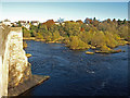 NY9864 : The River Tyne, Corbridge by wfmillar