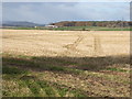 View across stubble