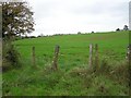 Drumgolliff Townland