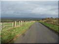 Lane leading down to Corscombe