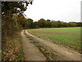 Looking south alongside Honeypot Wood