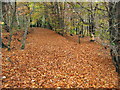 Footpath in the Autumn