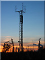 Communication mast on Ardbeck Hill Peterculter