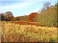 Hill of Ardbeck Peterculter