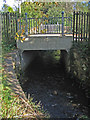 Dipple Burn passes under Redheugh road.