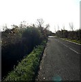 College Lane North - View South