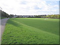 Playing Fields - Hangleton