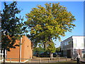 Grounds of Therfield School, Leatherhead