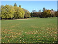 Kilburn Grange Park (2)