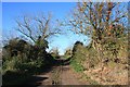 Farm track near Poplar Farm