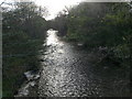 River Clwyd, St Asaph