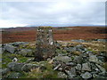 NY8708 : O.S, Trig Point on High Greygrits by David Brown