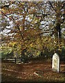 Gate from churchyard