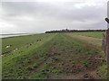 River Ribble Flood Defences