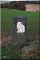SE2943 : Cat on a Stone Gate Post by Steve Partridge