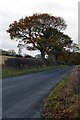 Eccup Lane at Burden Head