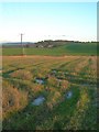 Stubble Field