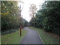 Footpath in grounds of Coldeast Hospital