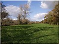 Meadow by the Tamar