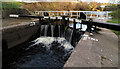 Tinsley Canal lock gates