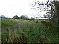 Track near Terregles