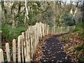 New fencing at Ness Wood