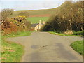 Passing places on the lane leading past Bodwyddog Farm