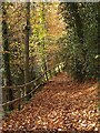 Footpath above Skelton Beck