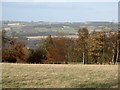 Pasture and woodland near Loughbrow